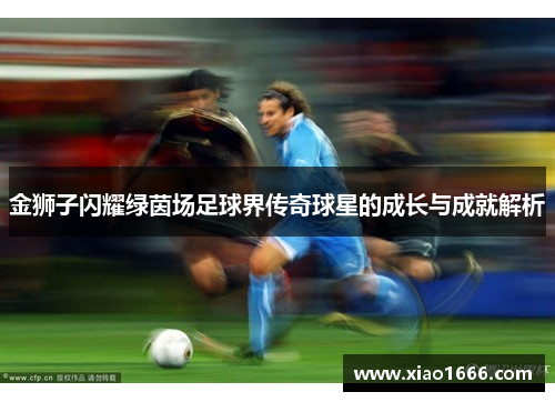 金狮子闪耀绿茵场足球界传奇球星的成长与成就解析